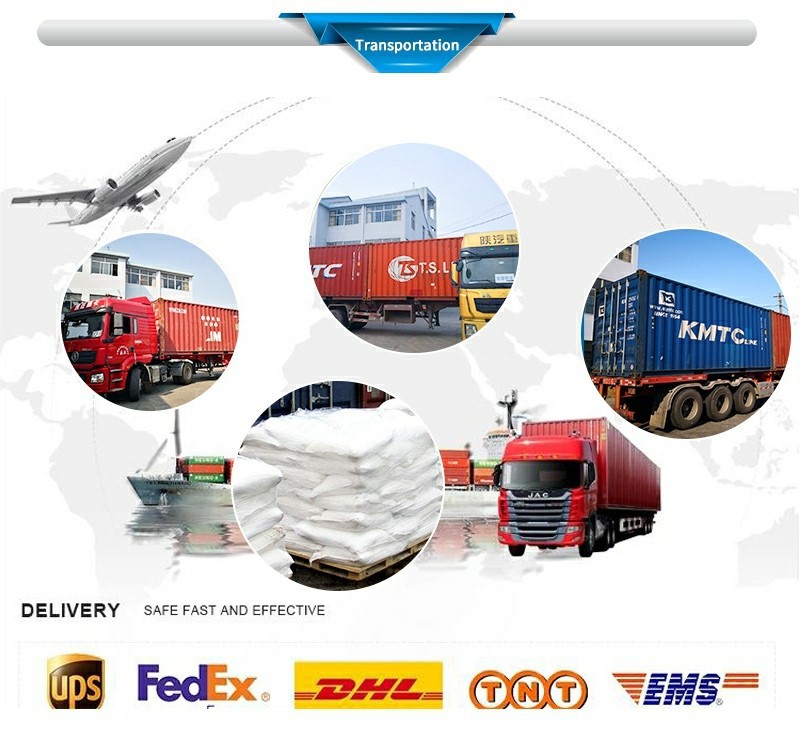 transportation transportation